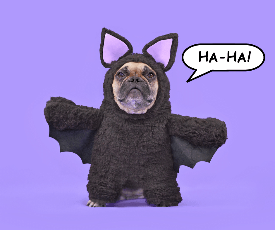 What to Write in a Halloween Card 2025