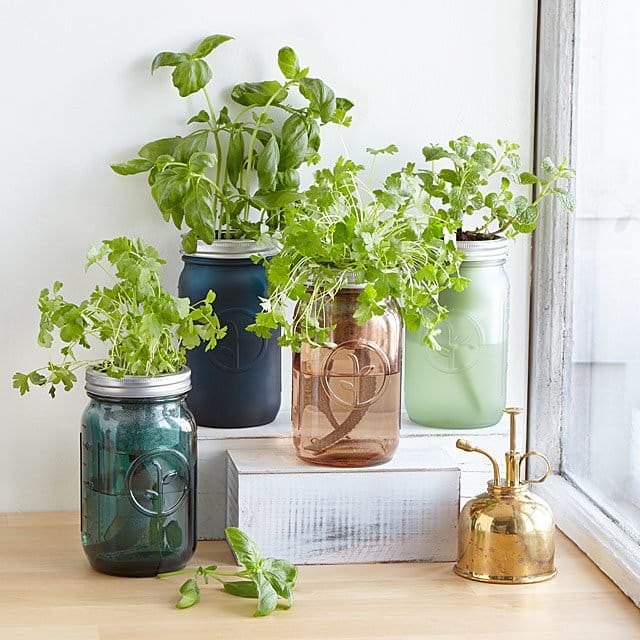 Popular Housewarming Gifts 2025: Indoor Mason Jar Herb Garden 2025