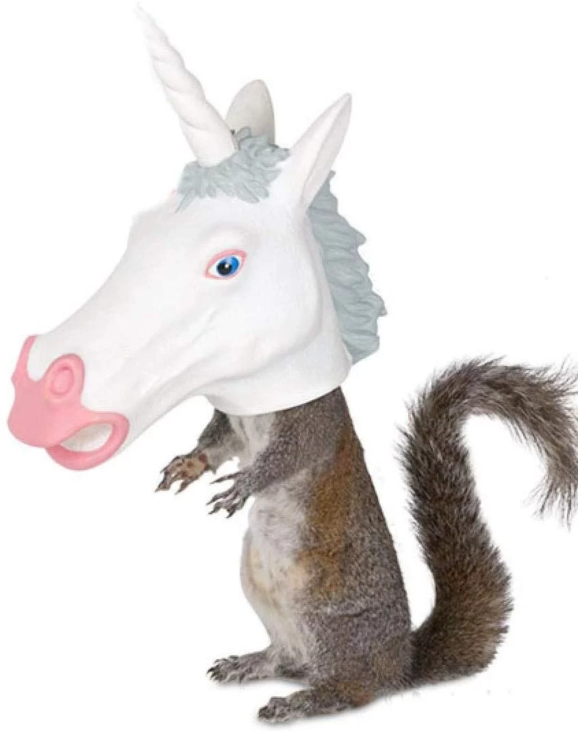 Funny Gag Gifts 2025: Squirrel Unicorn Feeder 2025