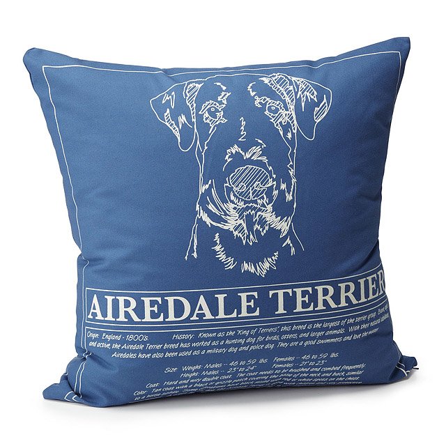 Best Gifts for Dog Lovers 2022: Blueprint Pillows 2022