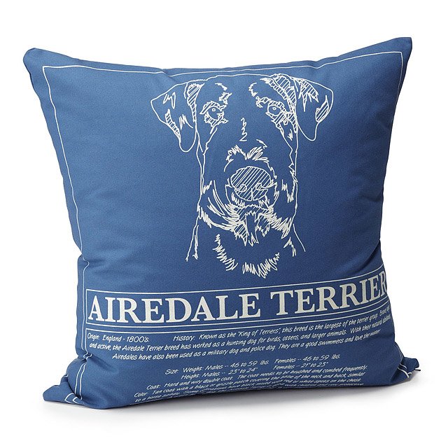 Best Gifts for Dog Lovers 2024: Blueprint Pillows 2024