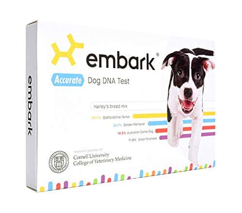 Best Gifts for Dog Lovers 2022: Doggy DNA Kit 2022
