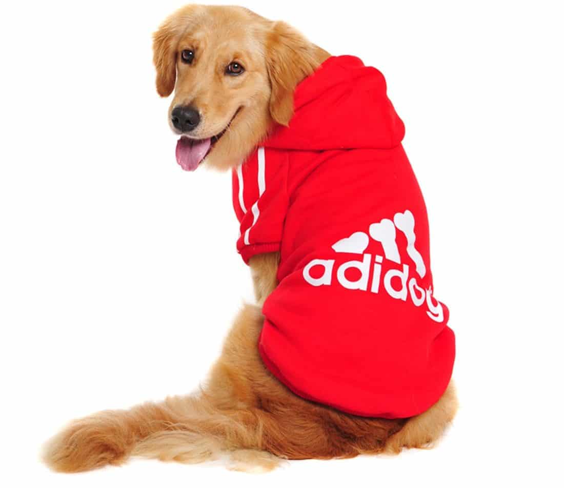 Best Gifts for Dog Lovers 2022: Adidas Doggy Hoodie 2022
