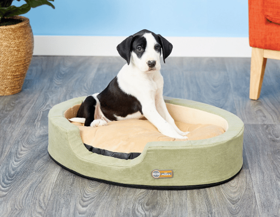 Best Gifts for Dog Lovers 2022: Heated Dog Bed for Christmas Gift 2022