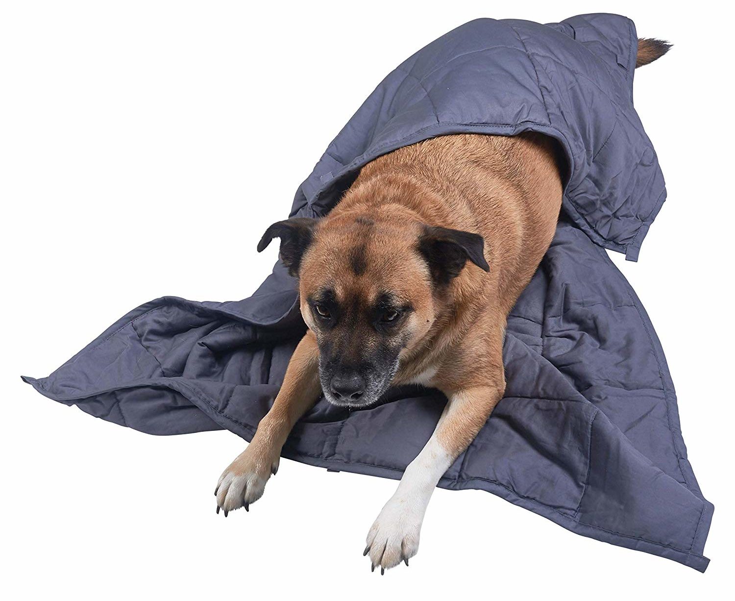 Best Gifts for Dog Lovers 2022: Weighted Anxiety Blanket for Christmas 2022