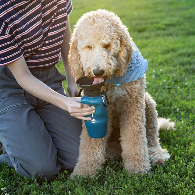 Best Camping Gifts 2023: Dog Bowl Water Bottle