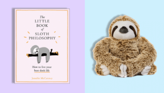 Funny Sloth Gifts 2022 - Cute Gift Ideas for Sloth Lovers (Kids, Adults, Him & Her) 2022