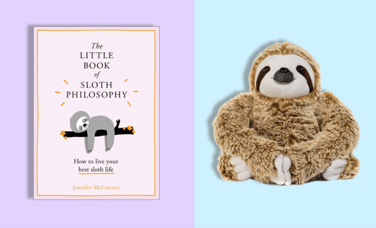 11 Cute Sloth Gifts 2021 Best Gift Ideas For Sloth