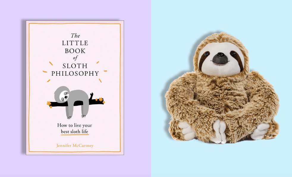 Funny Sloth Gifts 2024 - Cute Gift Ideas for Sloth Lovers (Kids, Adults, Him & Her) 2024