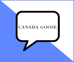 Canada Goose Promo Code August 2022 - Coupons & Discount