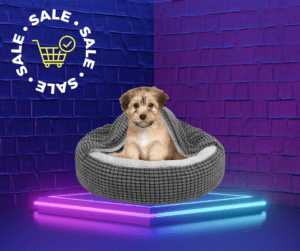 Sale on Dog Beds This Memorial Day 2022!!