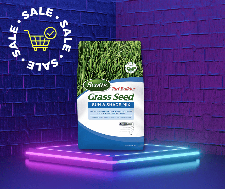 Sale on Grass Seed This Memorial Day 2022!!