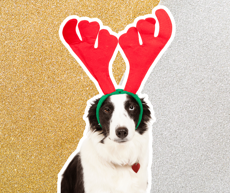 Unique Christmas Party Theme Ideas 2023