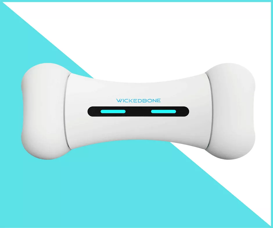 Wireless Smart Dog Bone Toy