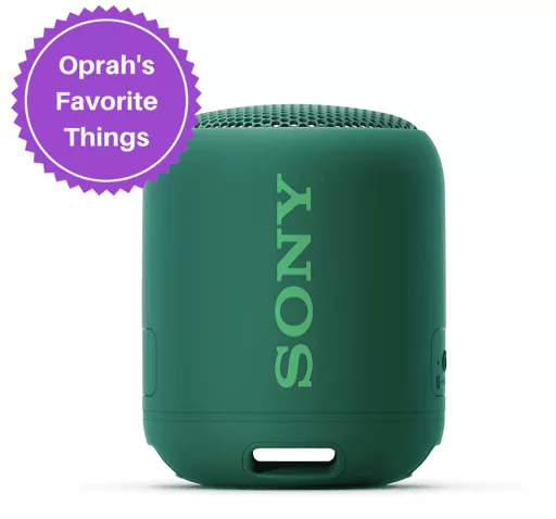 Best Camping Gifts 2023: Sony Portable Speaker