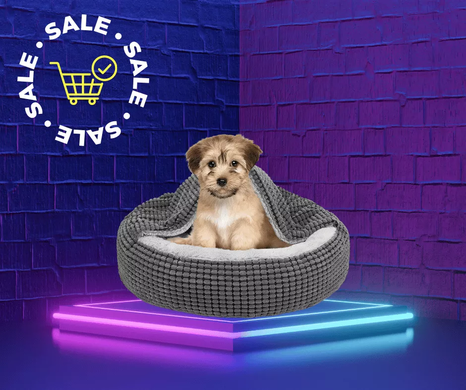Sale on Dog Beds This Valentine's Day 2023!