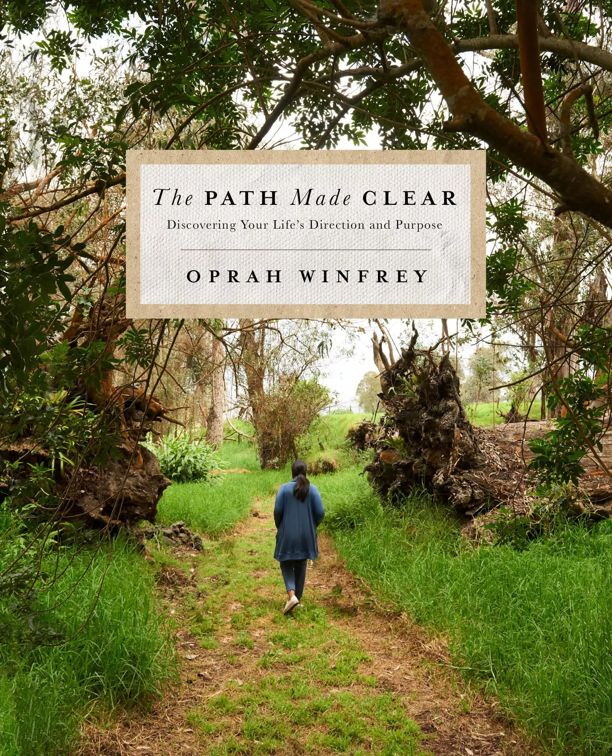 Best Godmother Gifts 2023: The Path Made Clear by Oprah 2023