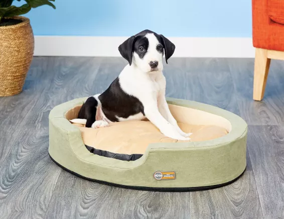 Best Gifts for Dog Lovers 2023: Heated Dog Bed for Christmas Gift 2023