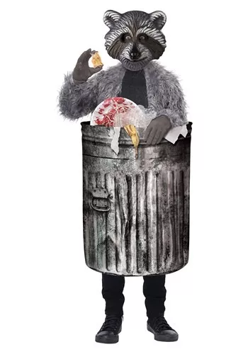 Kids Halloween Costume 2023: Trash Panda